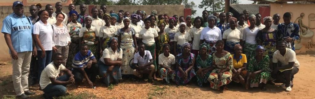 News Genre et Développement