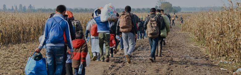Decoding Migration Governance