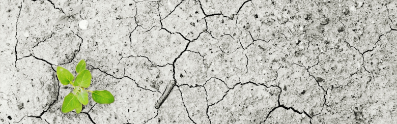 CCDP Banner 4 | Cracked ground