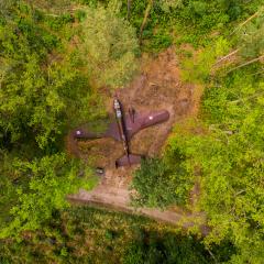 War aircraft on the ground in the forest