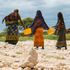 Gender and Risk Management in Climate Change Q&A