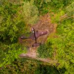 War aircraft on the ground in the forest