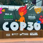 COP 30 (Brasil, November 2025)